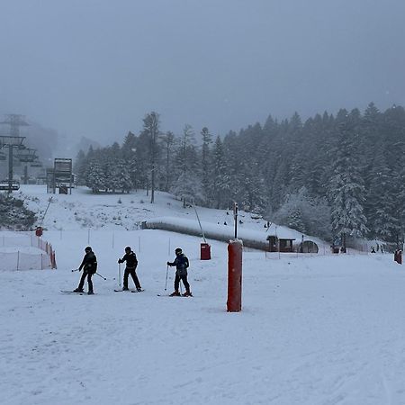 Gite A La Ferme Au Coeur De L'Auvergne Saint-Hippolyte  Exterior foto