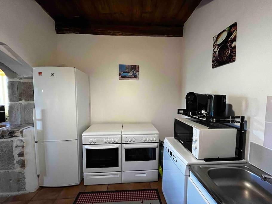 Gite A La Ferme Au Coeur De L'Auvergne Saint-Hippolyte  Exterior foto