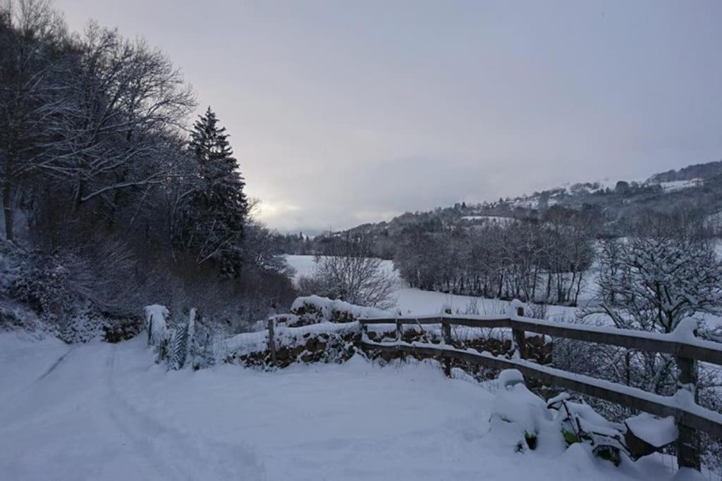 Gite A La Ferme Au Coeur De L'Auvergne Saint-Hippolyte  Exterior foto
